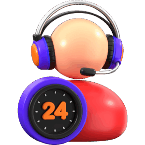 24×7 Support