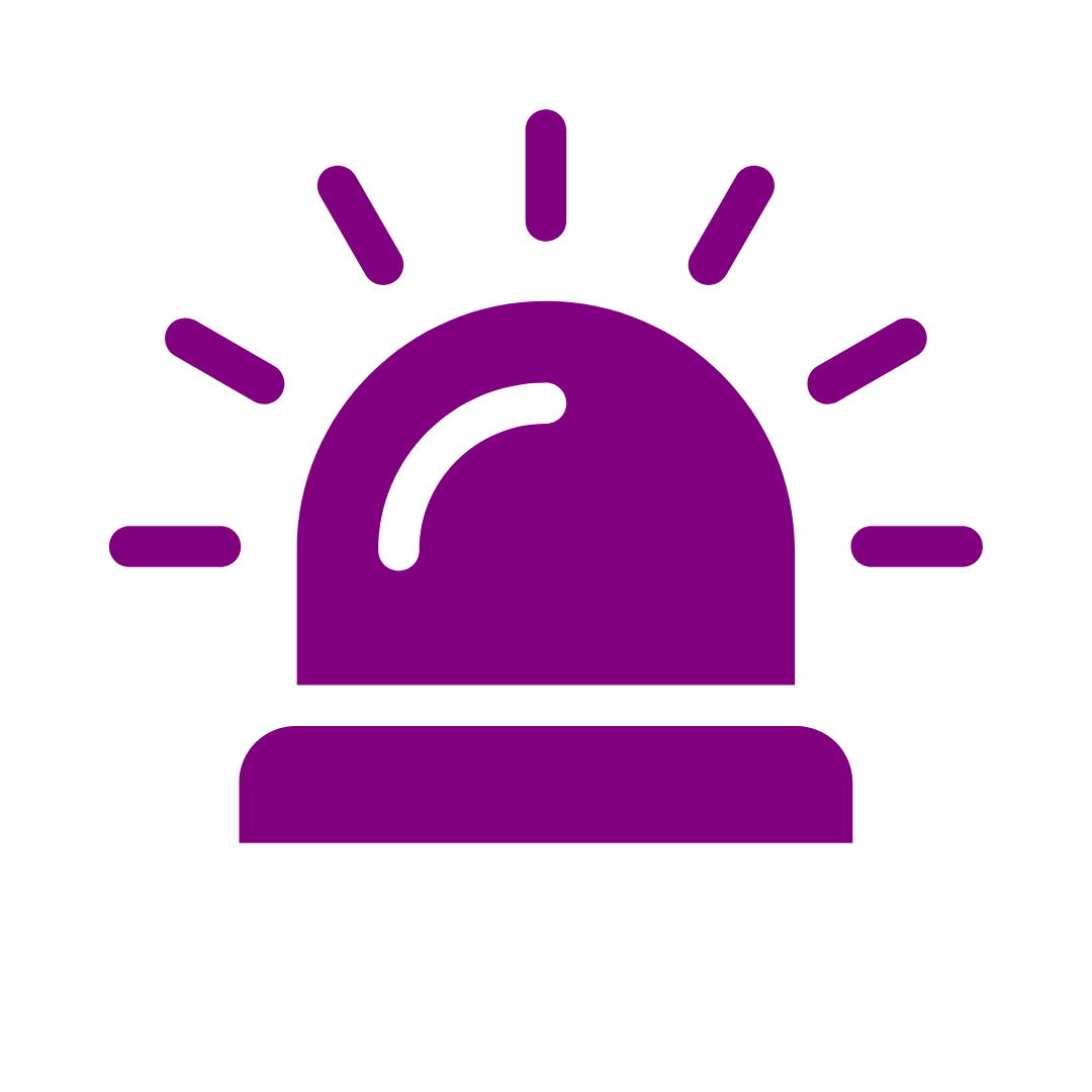 INSTANT EMERGENCY ALERTS