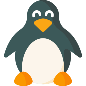 Linux based systems