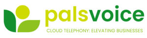 palsvoice company logo