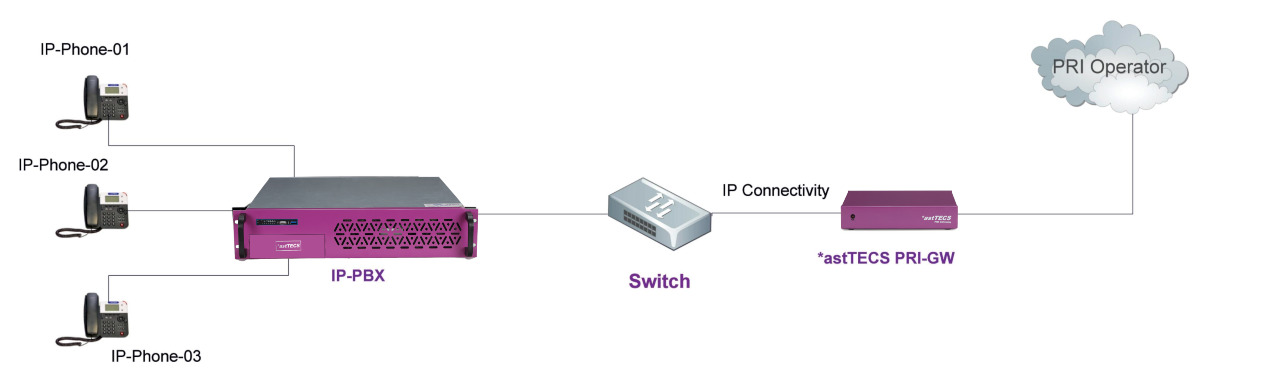 Working model of PRI Gateway 