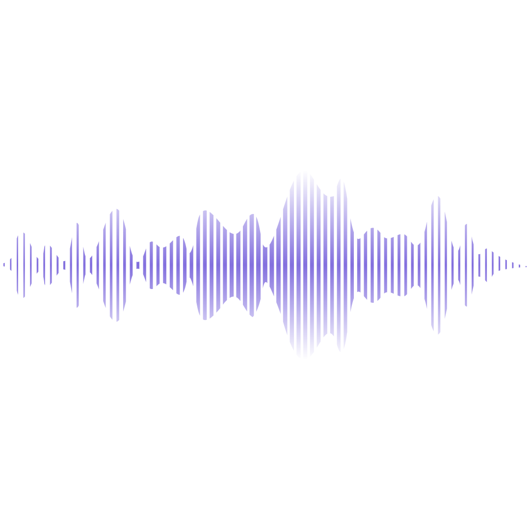 voice voice